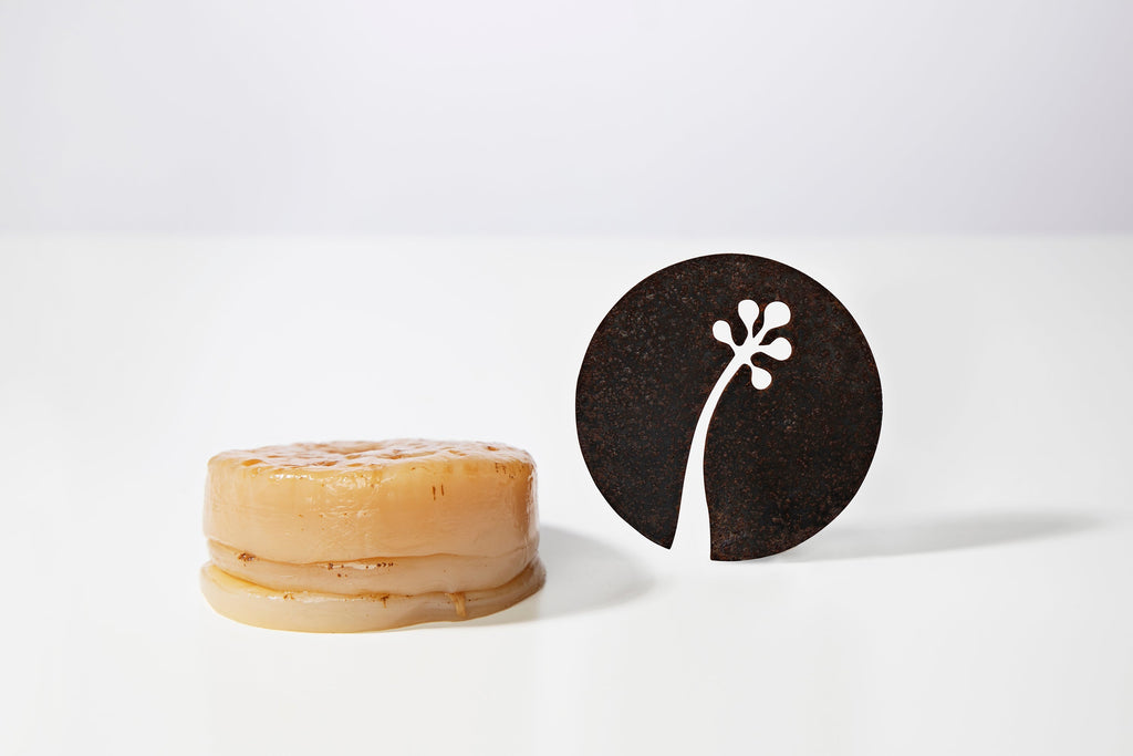 Discover Kombunectar™: Ami Iyök’s Probiotic Active That Is Revolutionizing Skin Care.